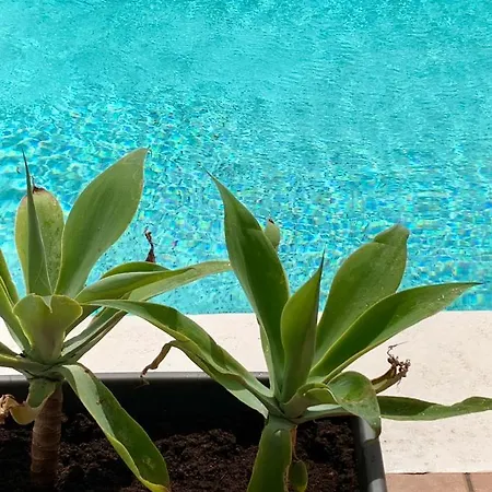 Erimar Met Verwarmd Zwembad