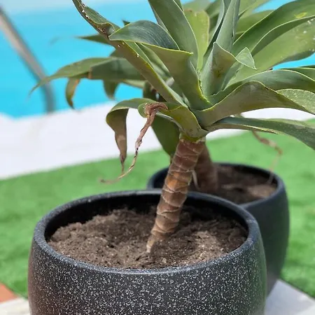 Erimar Met Verwarmd Zwembad * Playa Blanca